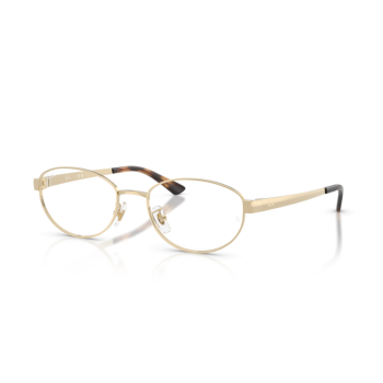 Ray-Ban® 0RX3774VD 2993 55